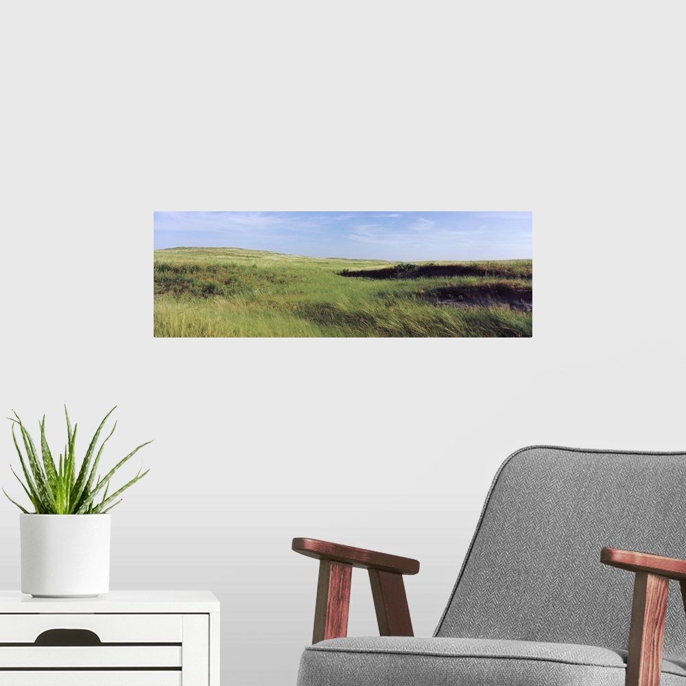 A modern room featuring Grass in a field, Whitetail Creek, Keith County, Nebraska,