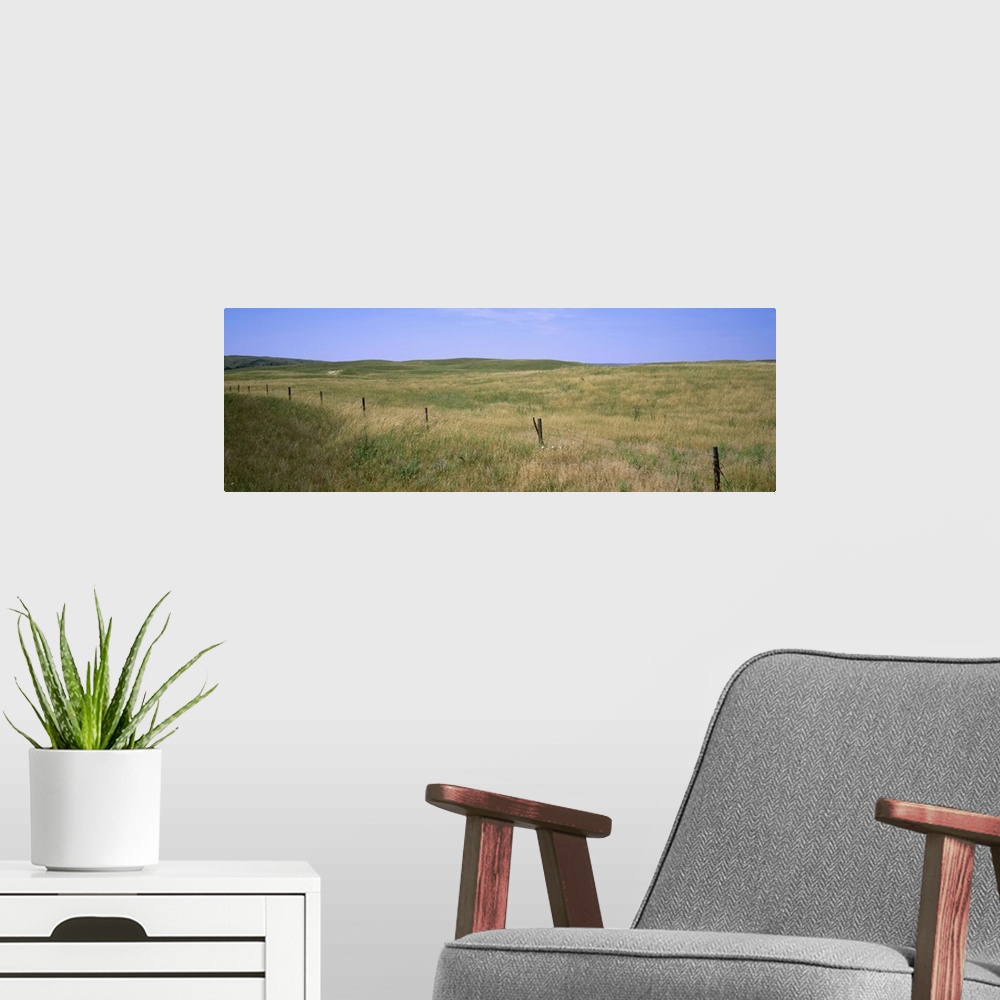 A modern room featuring Grass on a field, Cherry County, Nebraska