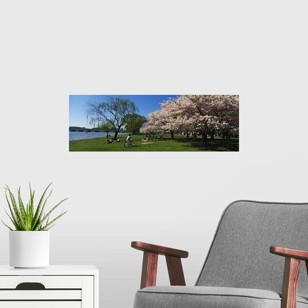 A modern room featuring Group of people in a garden, Cherry Blossom, Washington DC