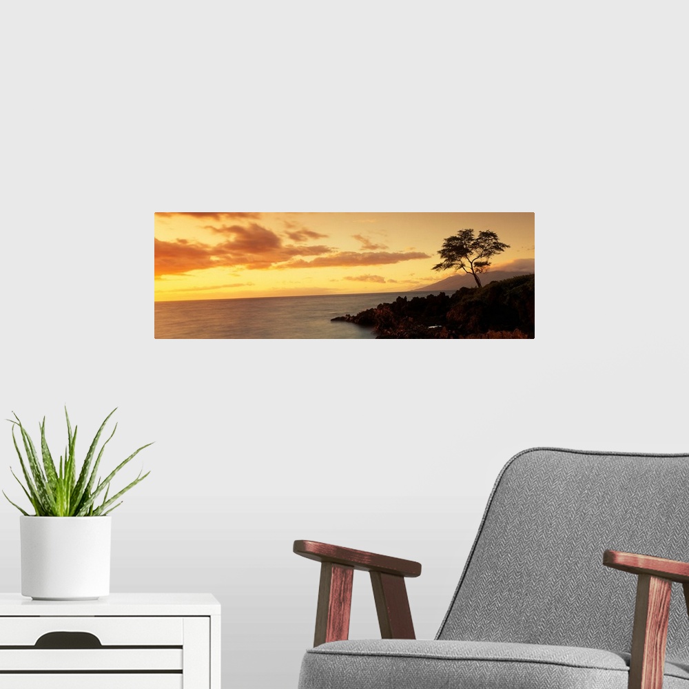 A modern room featuring Panoramic photograph displays a lone tree sitting on the rocky shores of an island in the Pacific...