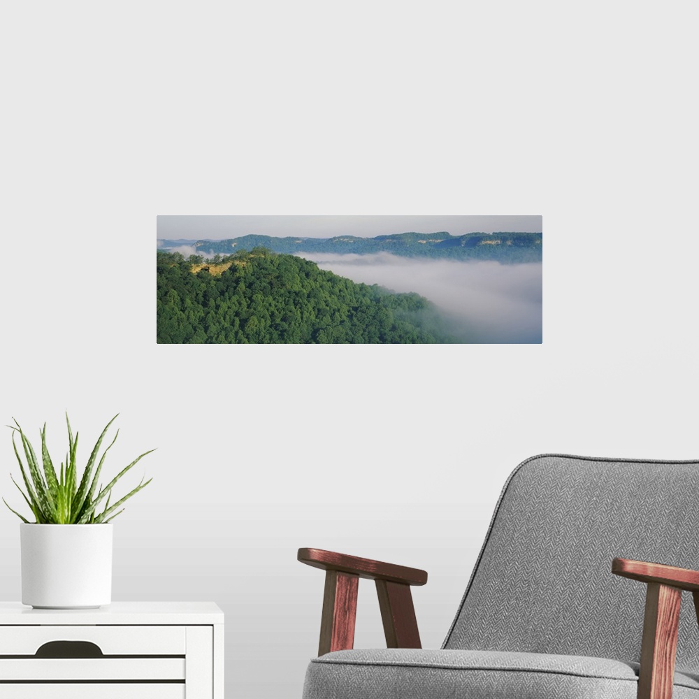 A modern room featuring High angle view of trees on hills, Double Arch, Daniel Boone National Forest, Kentucky