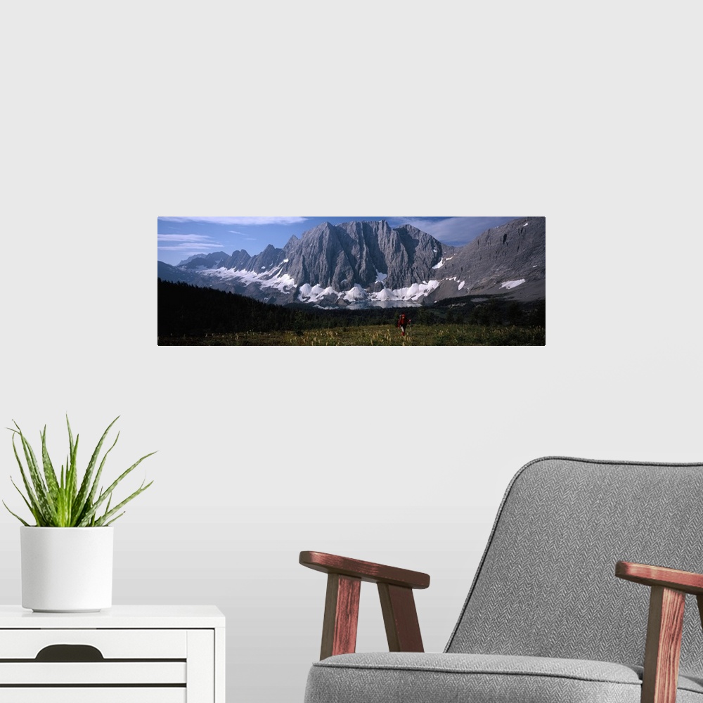 A modern room featuring Hiker in a meadow, Floe Lake, Glacier National Park, British Columbia, Canada