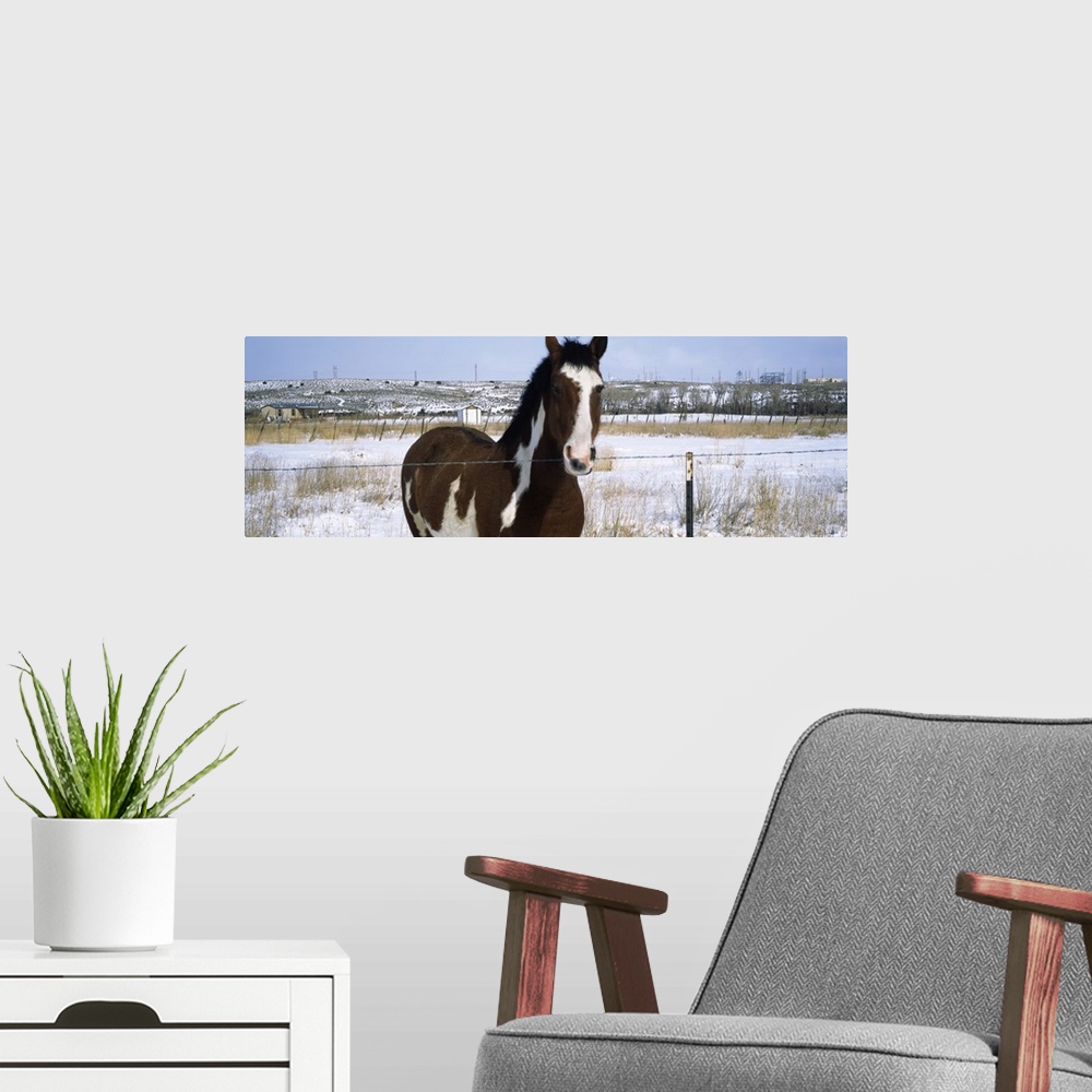 A modern room featuring Horse at fence in snow Taos New Mexico