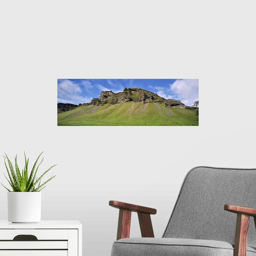 A modern room featuring Iceland, South Coast, Sheep grazing in the uncultivated landscape