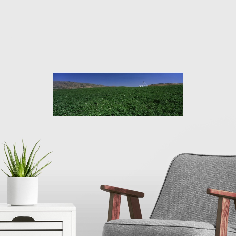 A modern room featuring Idaho, Burley, Potato field surrounded by mountains