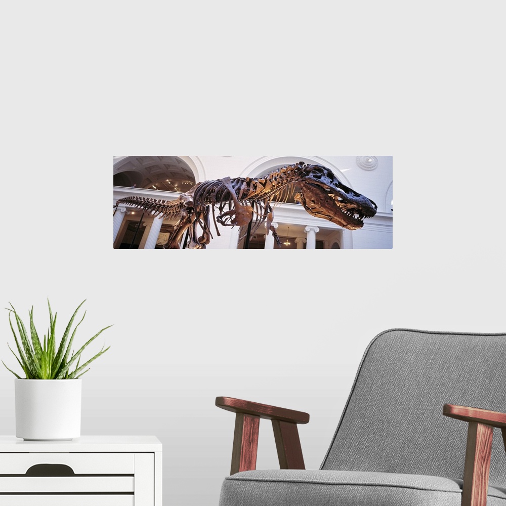 A modern room featuring Illinois, Chicago, Stanley Field Hall, Low angle view of a Tyrannosaurus Rex skeleton in the Fiel...