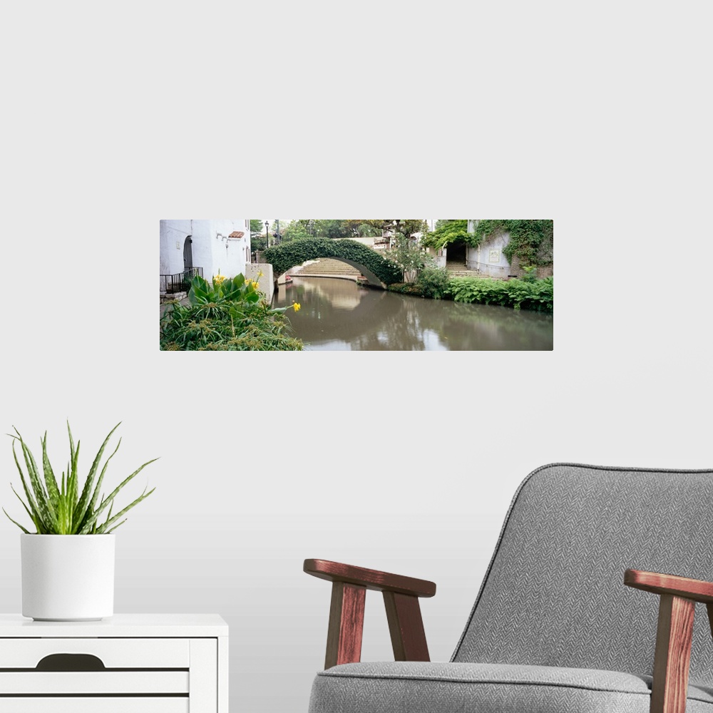 A modern room featuring Ivy covering a foot bridge, San Antonio River, San Antonio River Walk, San Antonio, Texas