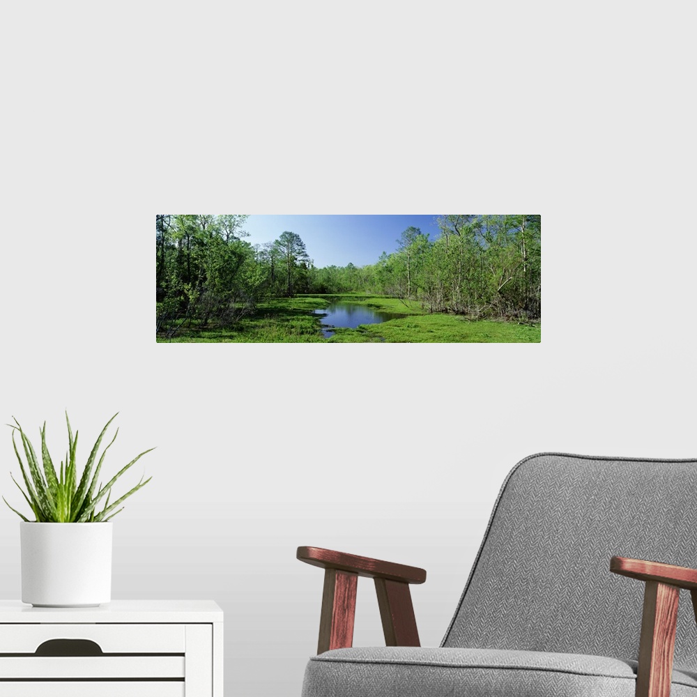 A modern room featuring Lake in a forest, Houma area, southern Louisiana