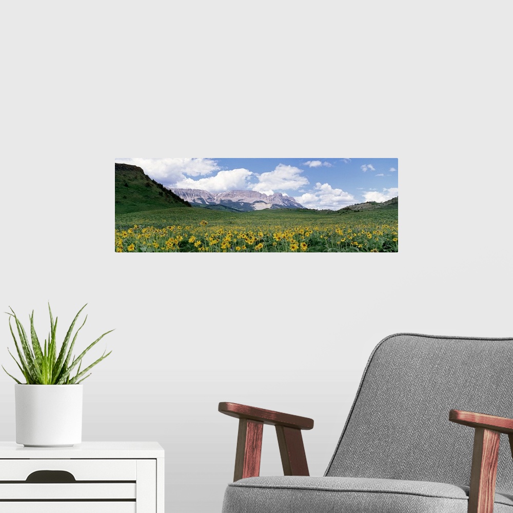 A modern room featuring Meadow Rocky Mountain Front MT