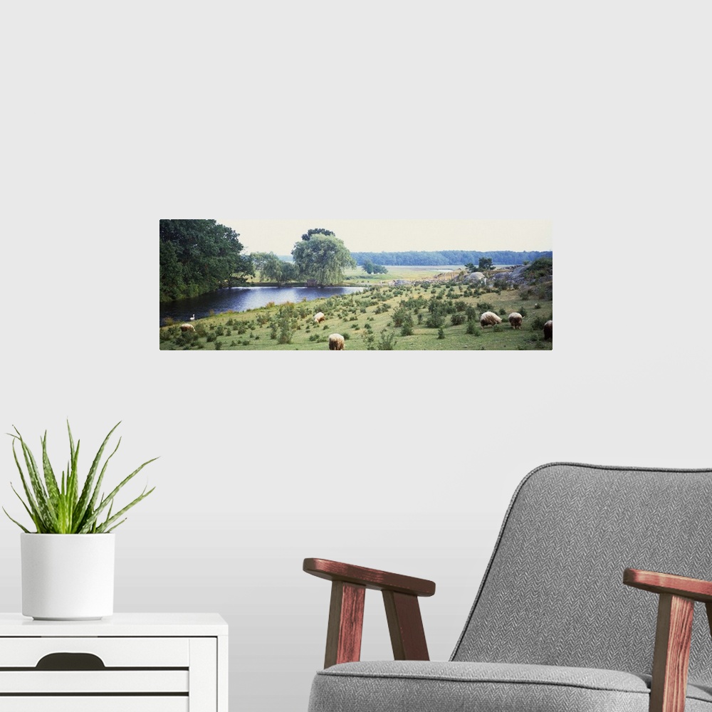 A modern room featuring Meadow With Sheep Kennebunkport ME