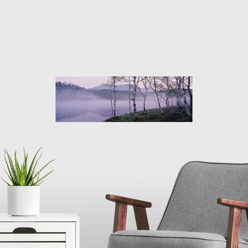 A modern room featuring Mist over a Lake, Togakushi, Nagano, Japan