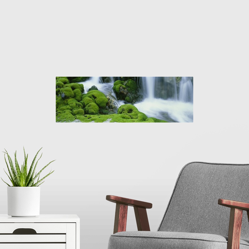 A modern room featuring Oversized, horizontal photograph of a stream rushing through large, rocky terrain covered in thic...