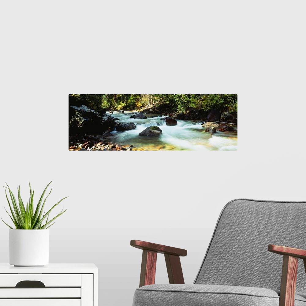 A modern room featuring A time lapsed photograph of water coursing through a boulder filled river bed in the forest.