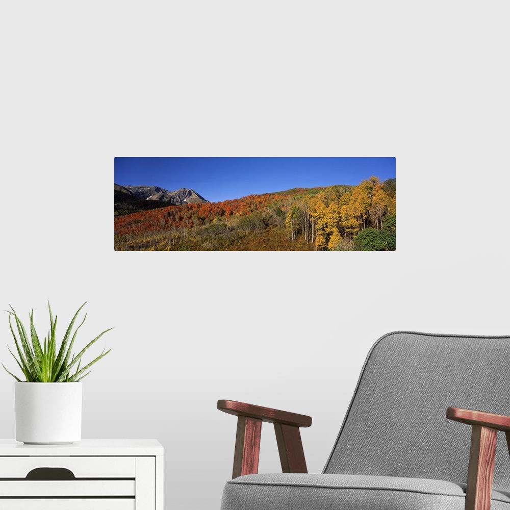 A modern room featuring Mountains on a landscape Mt Timpanogos Wasatch Mountains Utah