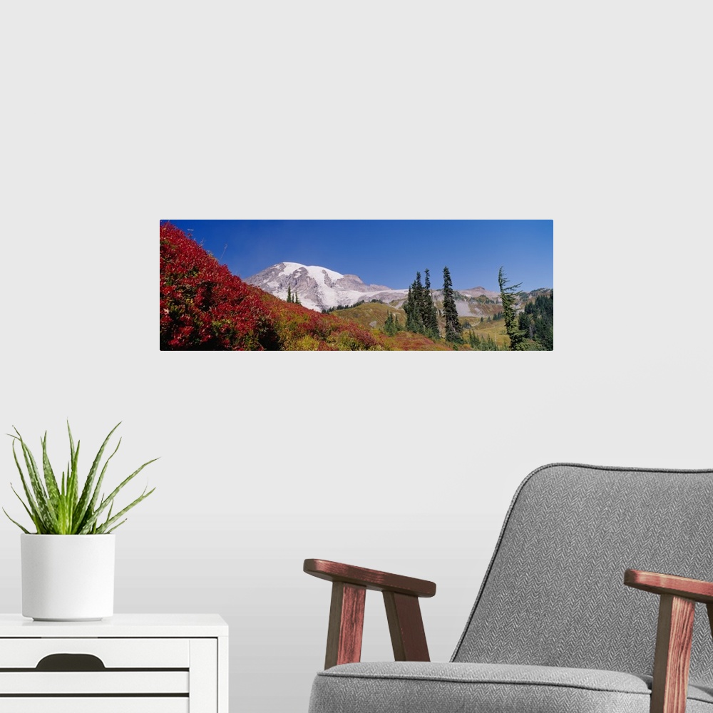 A modern room featuring Mt Rainier National Park WA