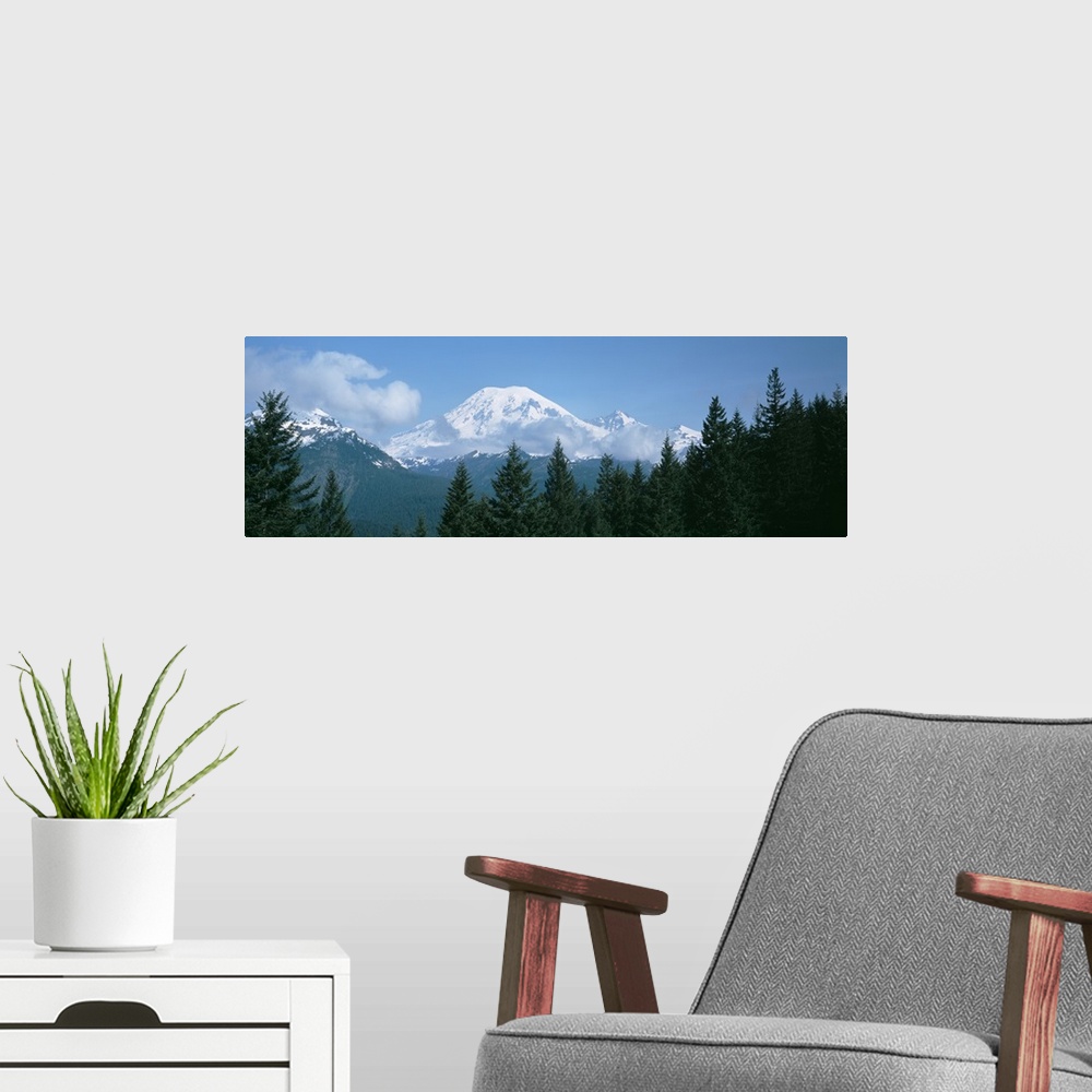 A modern room featuring Mt Ranier Mt Ranier National Park WA