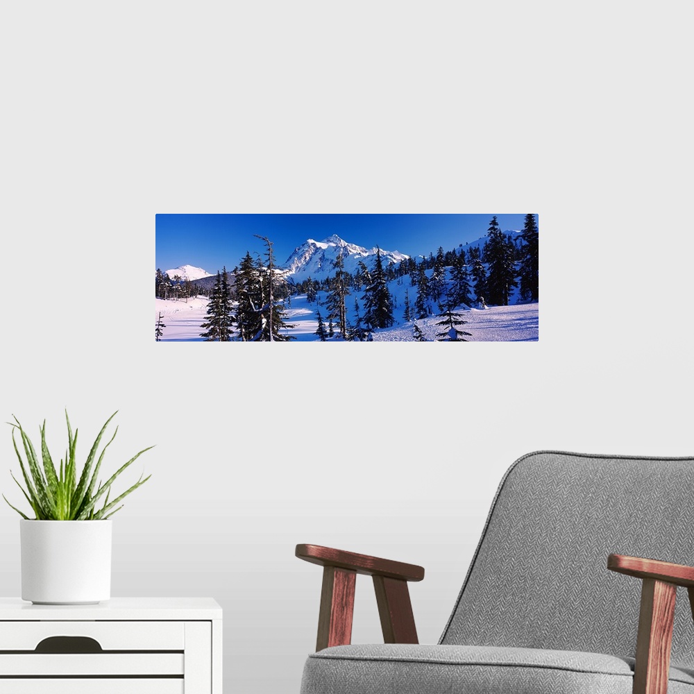 A modern room featuring Mt Shuksan viewed from Heather Meadows, Mt Baker Snoqualmie National Forest, North Cascades Natio...