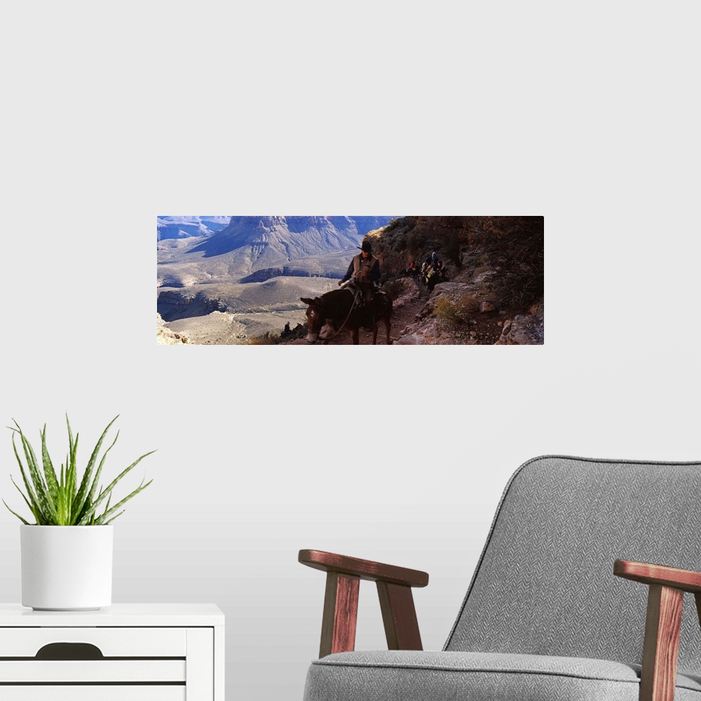 A modern room featuring Mule riders and hikers on the trail, South Kaibab Trail, Grand Canyon National Park, Arizona,