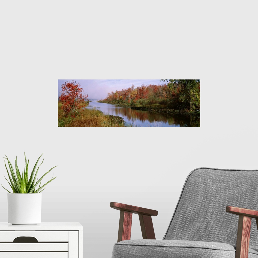 A modern room featuring New York, Finger Lakes, Reflection of trees in a lake