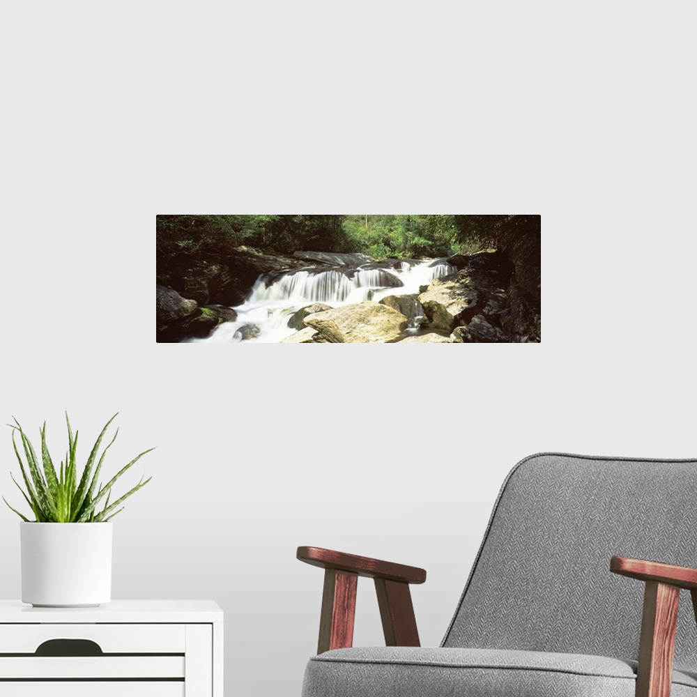A modern room featuring North Carolina, Highlands, Nantahala National Forest, Chattooga River, River flowing through the ...