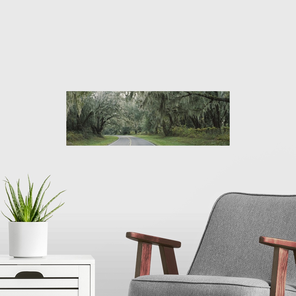 A modern room featuring Oak trees on both sides of a road, Florida