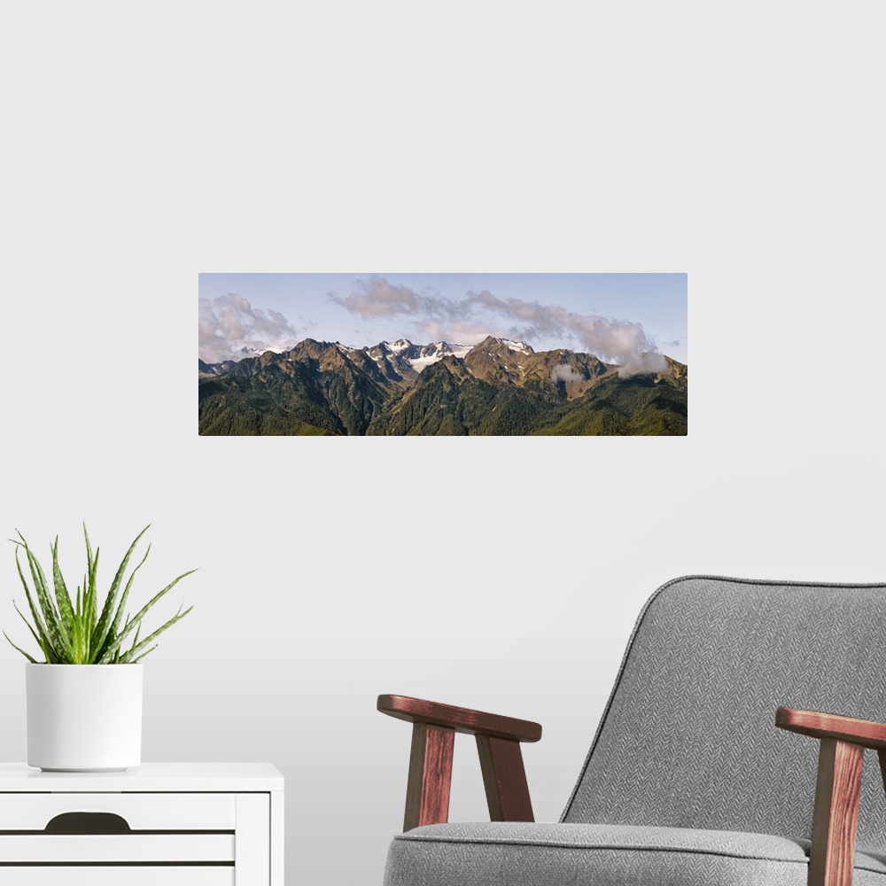 A modern room featuring Olympic Mountains, Hurricane Ridge, Olympic National Park, Washington State