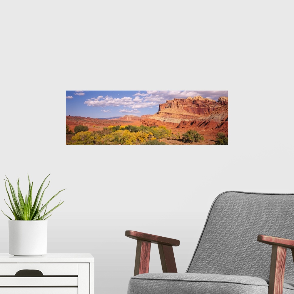 A modern room featuring Orchards in front of sandstone cliffs, Capitol Reef National Park, Utah