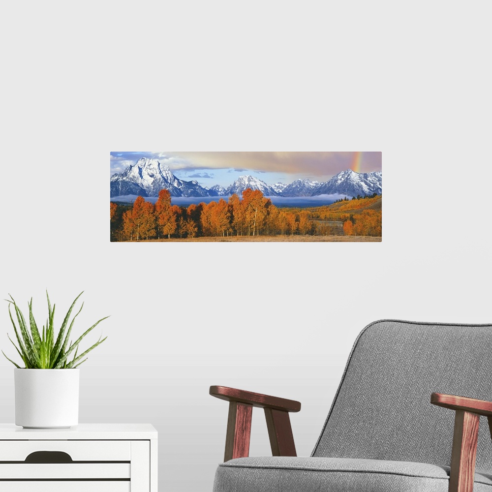 A modern room featuring Autumn trees with mountain range in the background, Oxbow Bend, Teton Range, Grand Teton National...