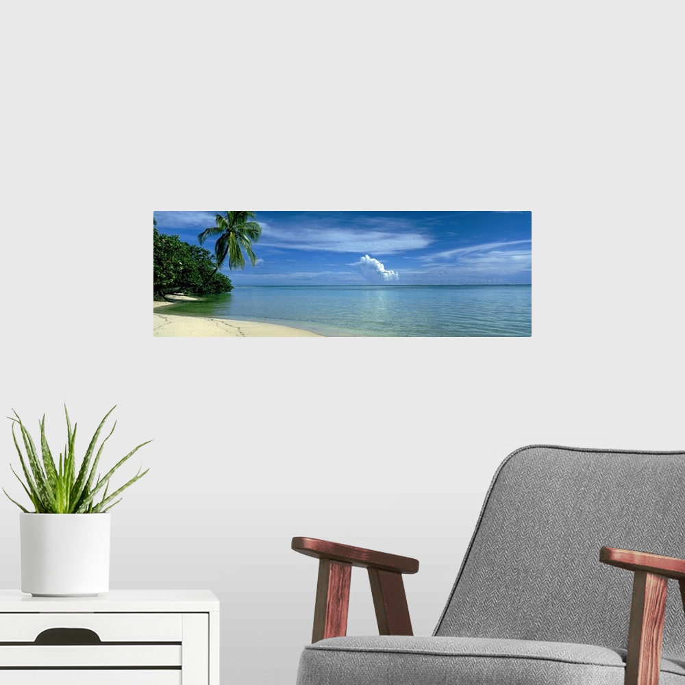 A modern room featuring Wide angle, big photograph of a palm tree swaying over a coast line, beneath a blue sky with swir...