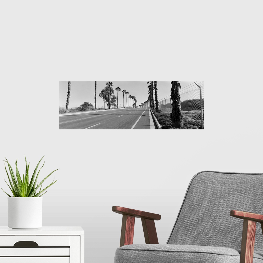 A modern room featuring Palm trees along a road San Diego California