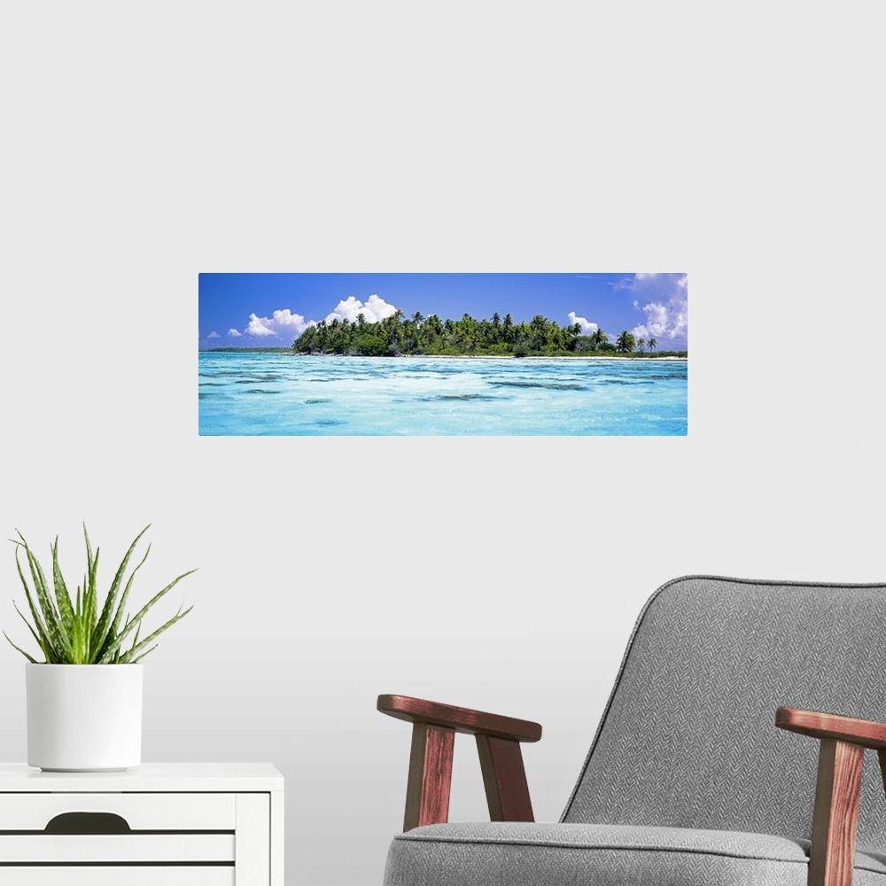 A modern room featuring Palm trees on an island, Tuamotu Archipelago, Tahiti, French Polynesia