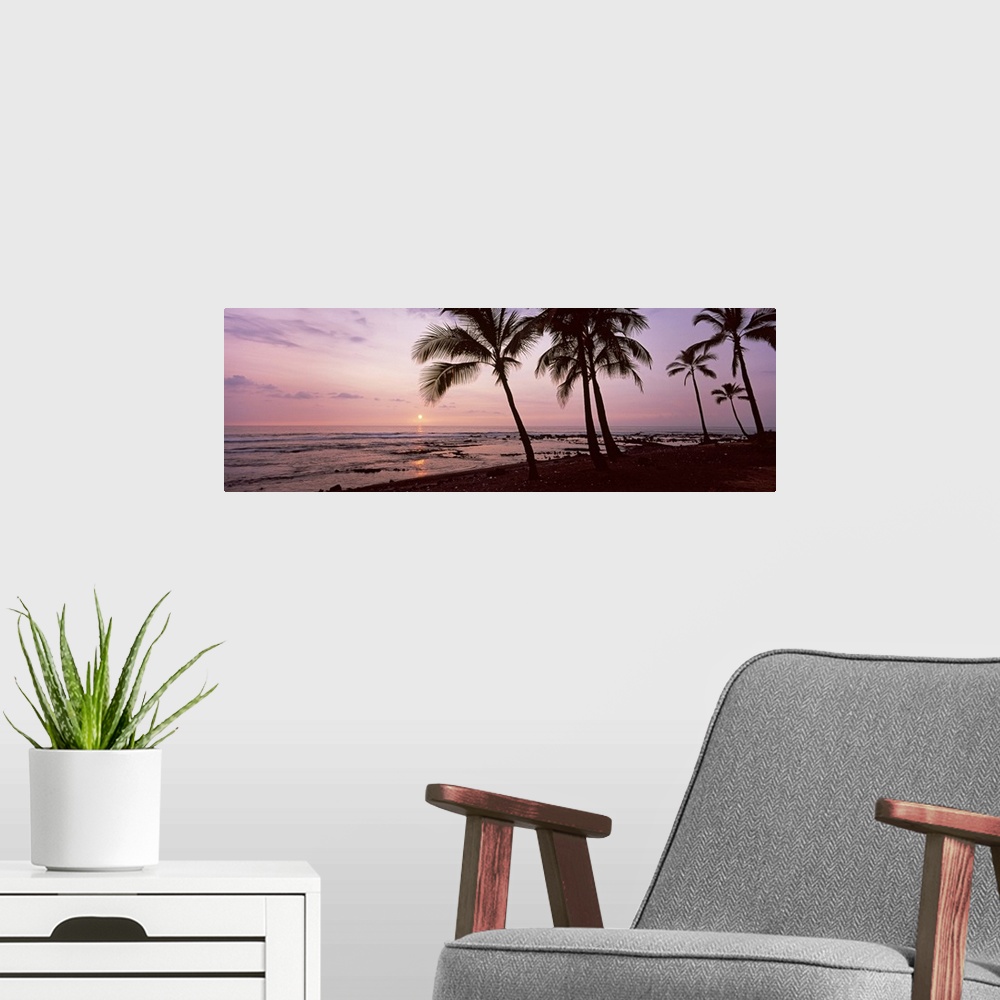 A modern room featuring Tall, silhouetted trees lean over the sand and small waves in the ocean as the setting sun turns ...