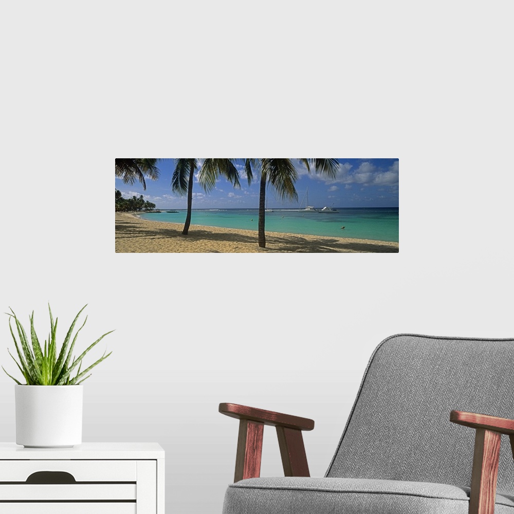 A modern room featuring Big, panoramic photograph of palm trees swaying over Sainte Anne Beach, crystal blue waters in th...