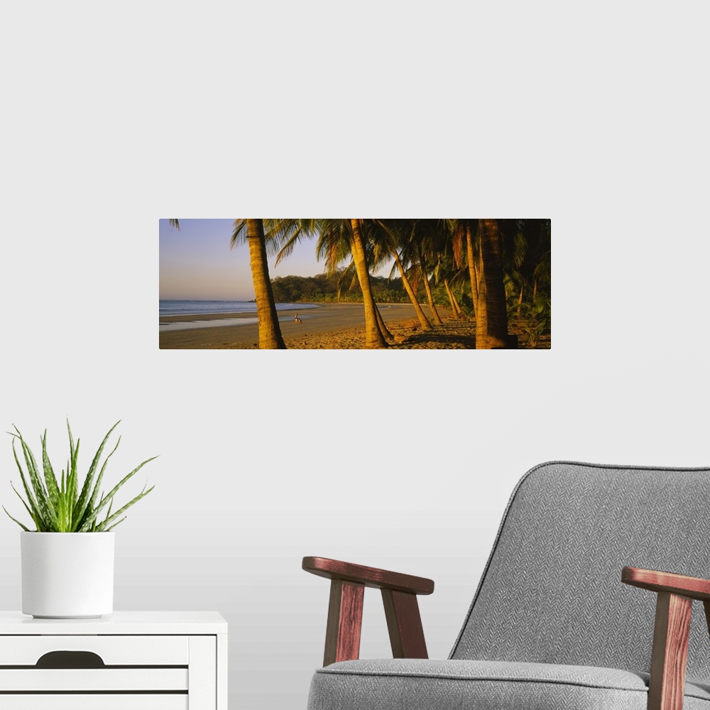 A modern room featuring Palm trees on the beach, Samara Beach, Guanacaste Province, Costa Rica