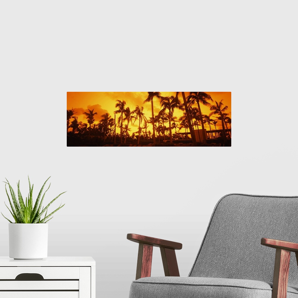 A modern room featuring Large horizontal photograph of many palm trees on  South Beach, near the Setai Hotel, beneath a b...