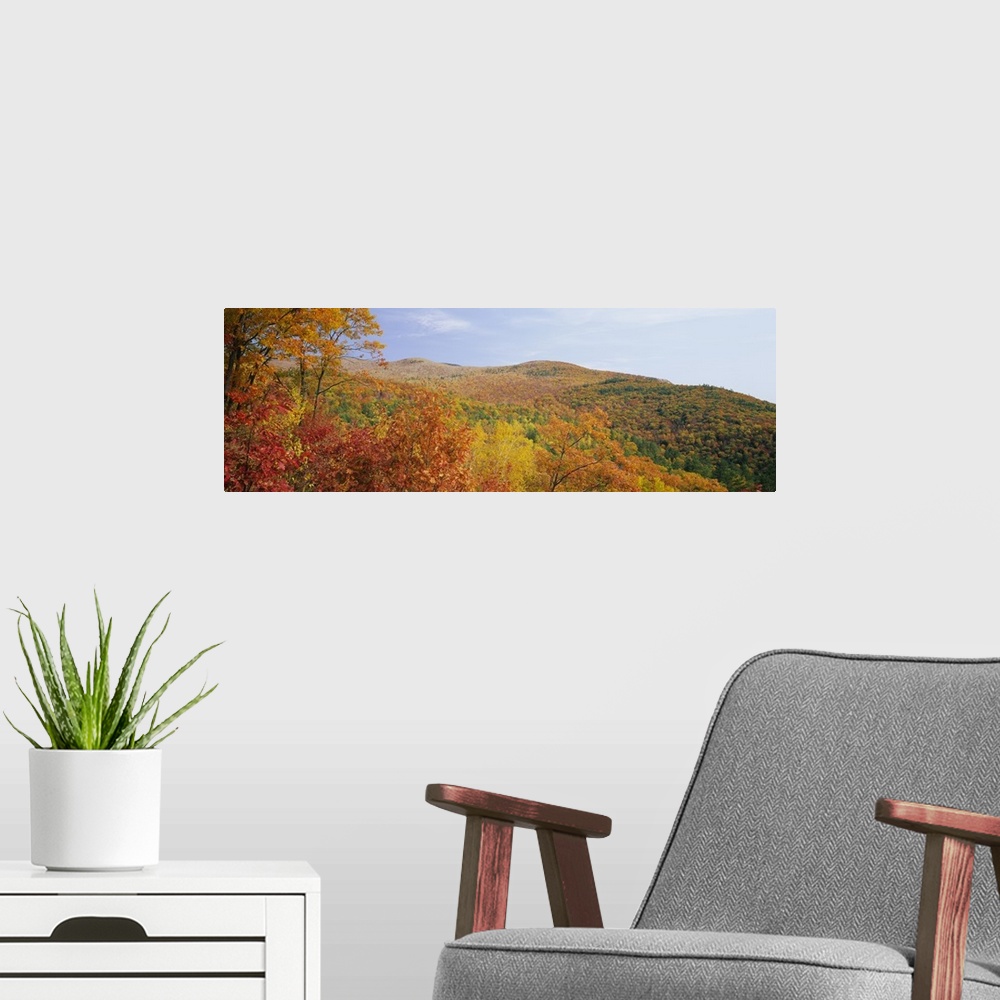 A modern room featuring Panoramic view of a landscape, Moultonborough, Carroll County, New Hampshire, New England