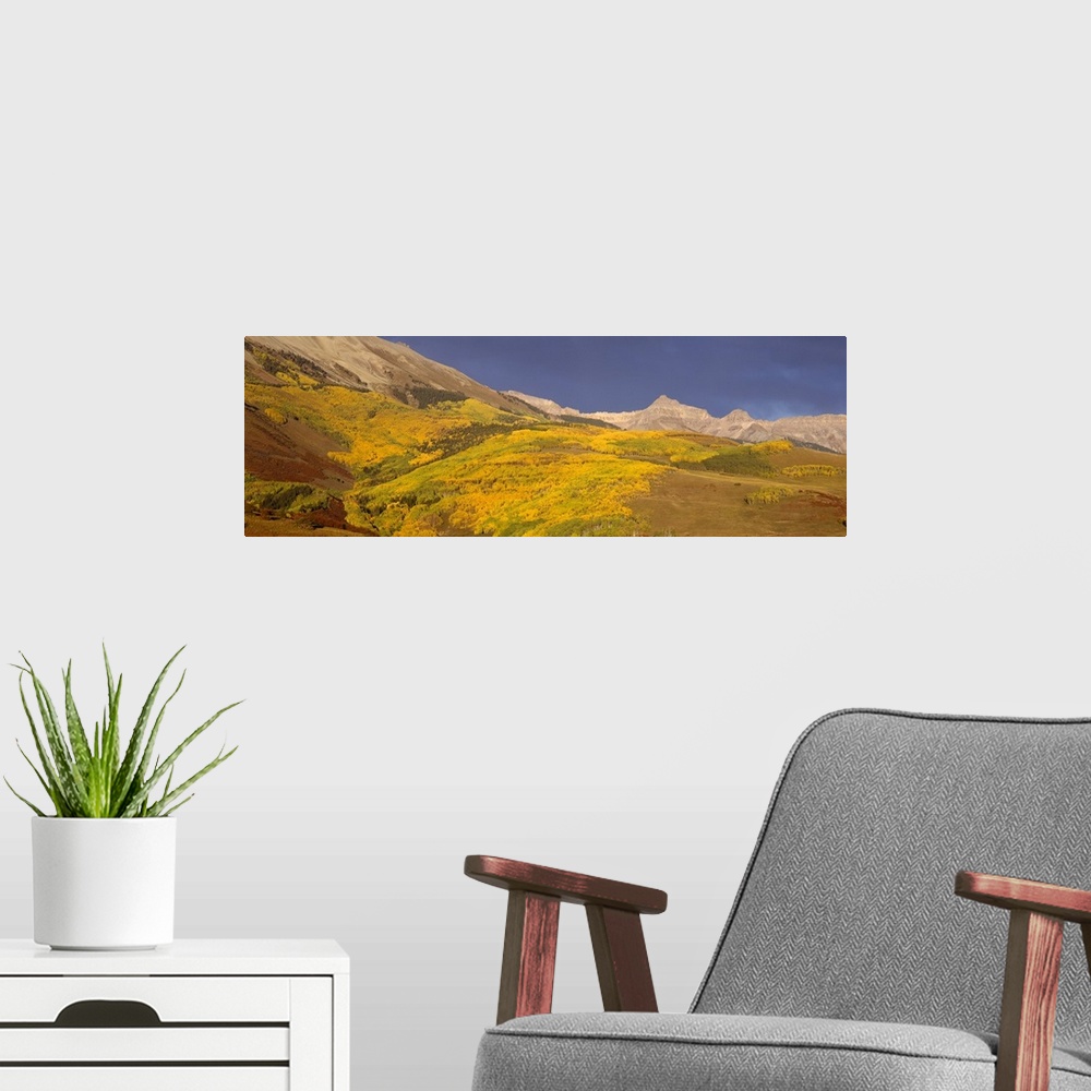 A modern room featuring Panoramic view of mountains, Telluride, San Miguel County, Colorado