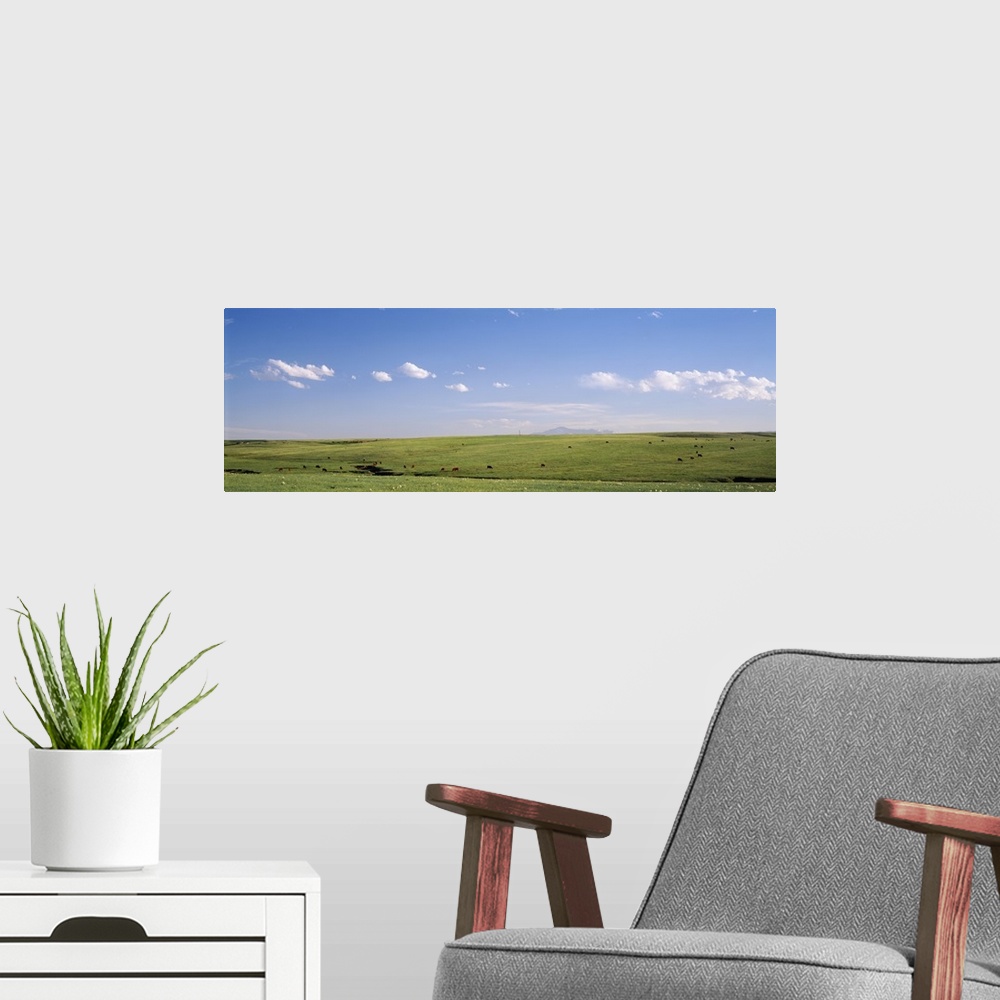 A modern room featuring Pasture on a landscape, Pikes Peak, Douglas County, Colorado