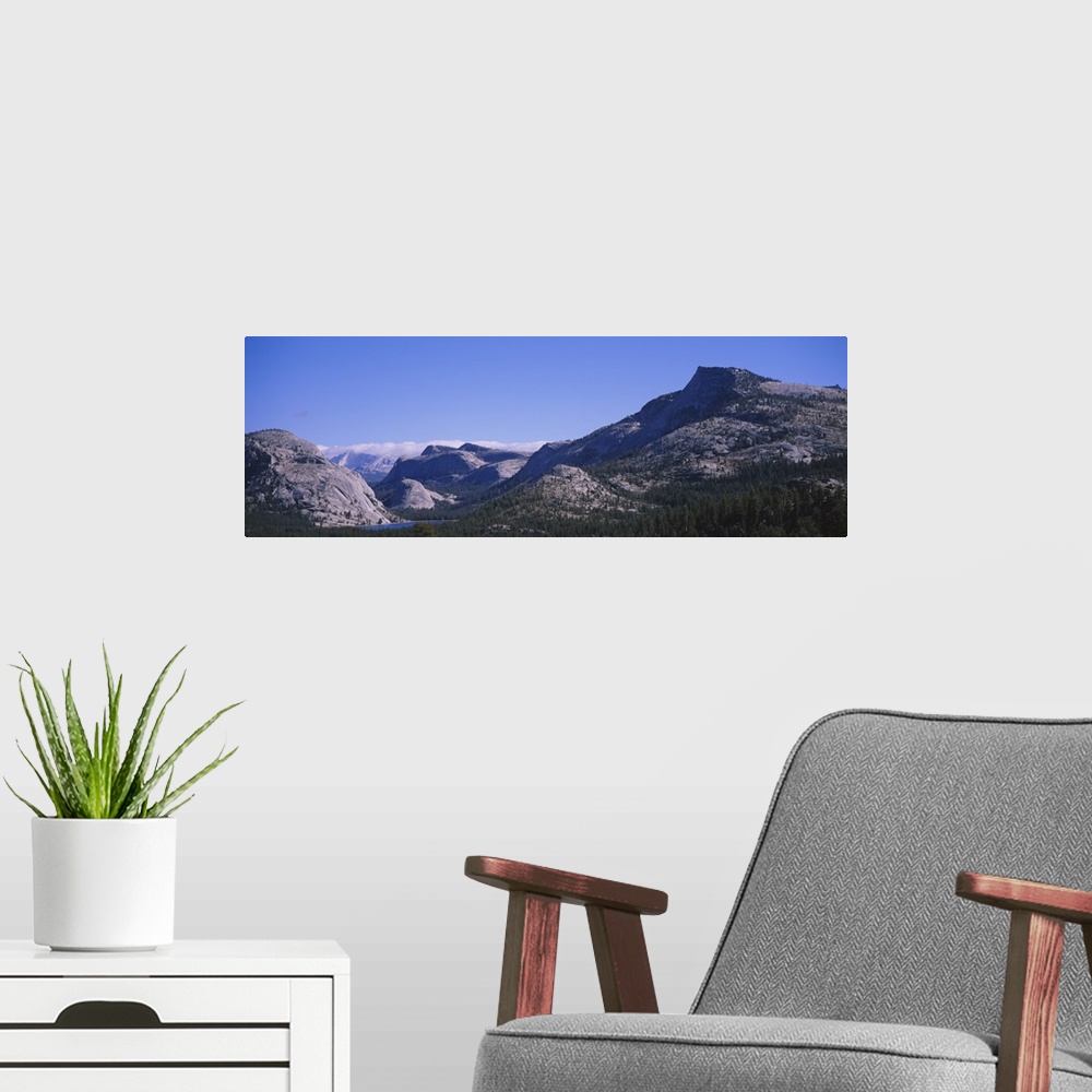 A modern room featuring Pine trees on a landscape, Yosemite National Park, California