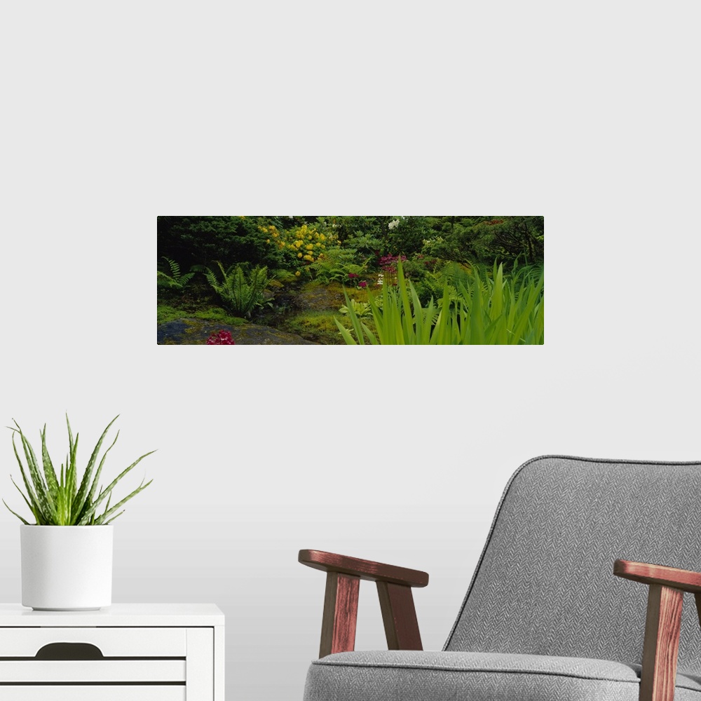 A modern room featuring Plants and flowers in a garden, Japanese Garden, Seattle, Washington State