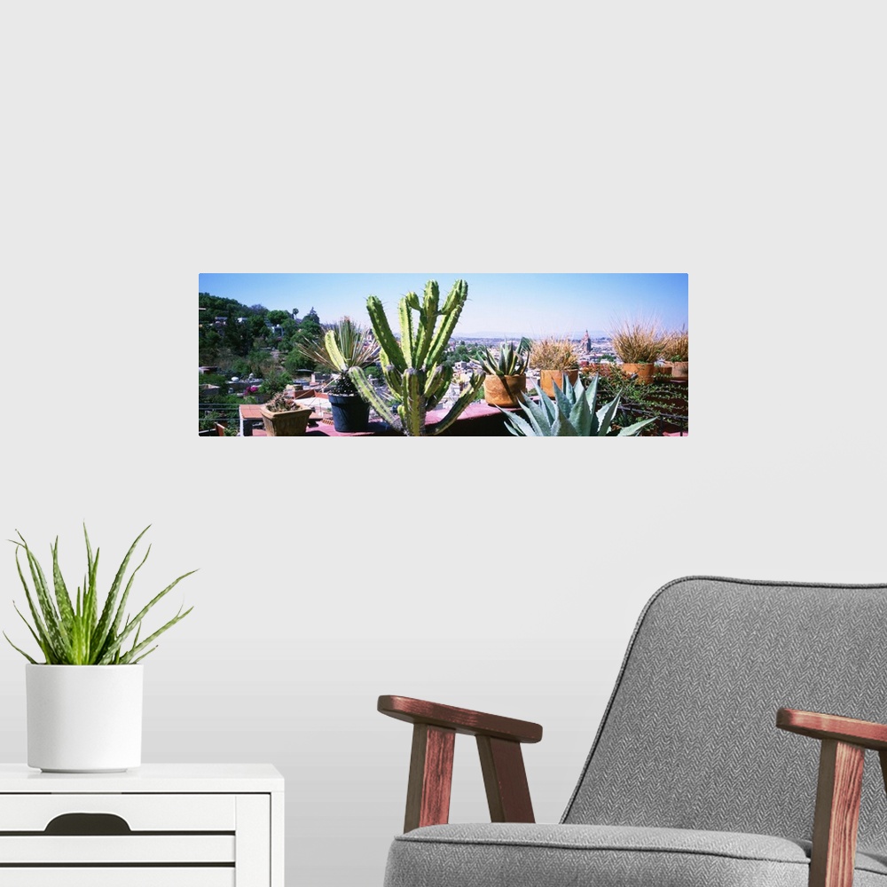 A modern room featuring Potted plants on terrace of a building with city in the background, San Miguel De Allende, Guanaj...