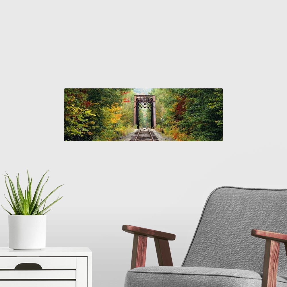 A modern room featuring Panoramic photograph of old railway running through forest.