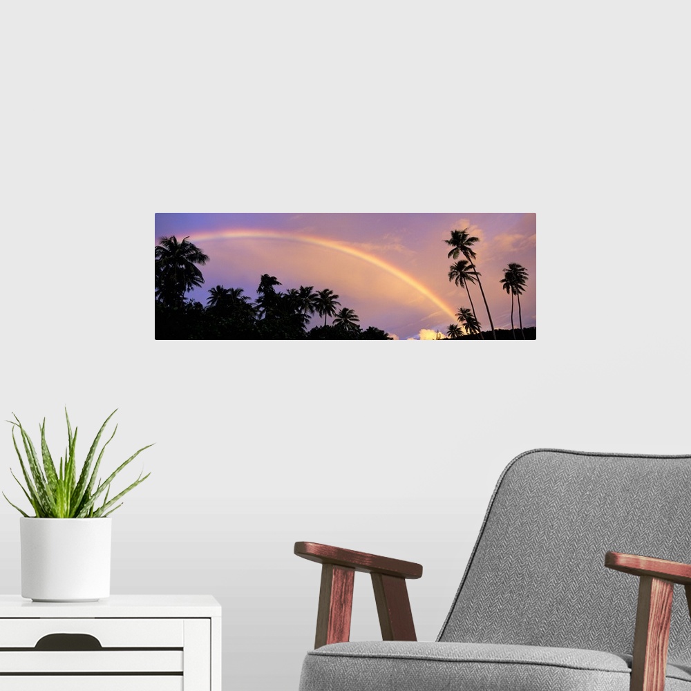A modern room featuring Rainbow between palm trees at dusk, French Polynesia