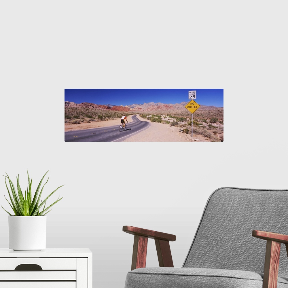 A modern room featuring Rear view of a person cycling on the road, Red Rock Canyon National Conservation Area, Clark Coun...