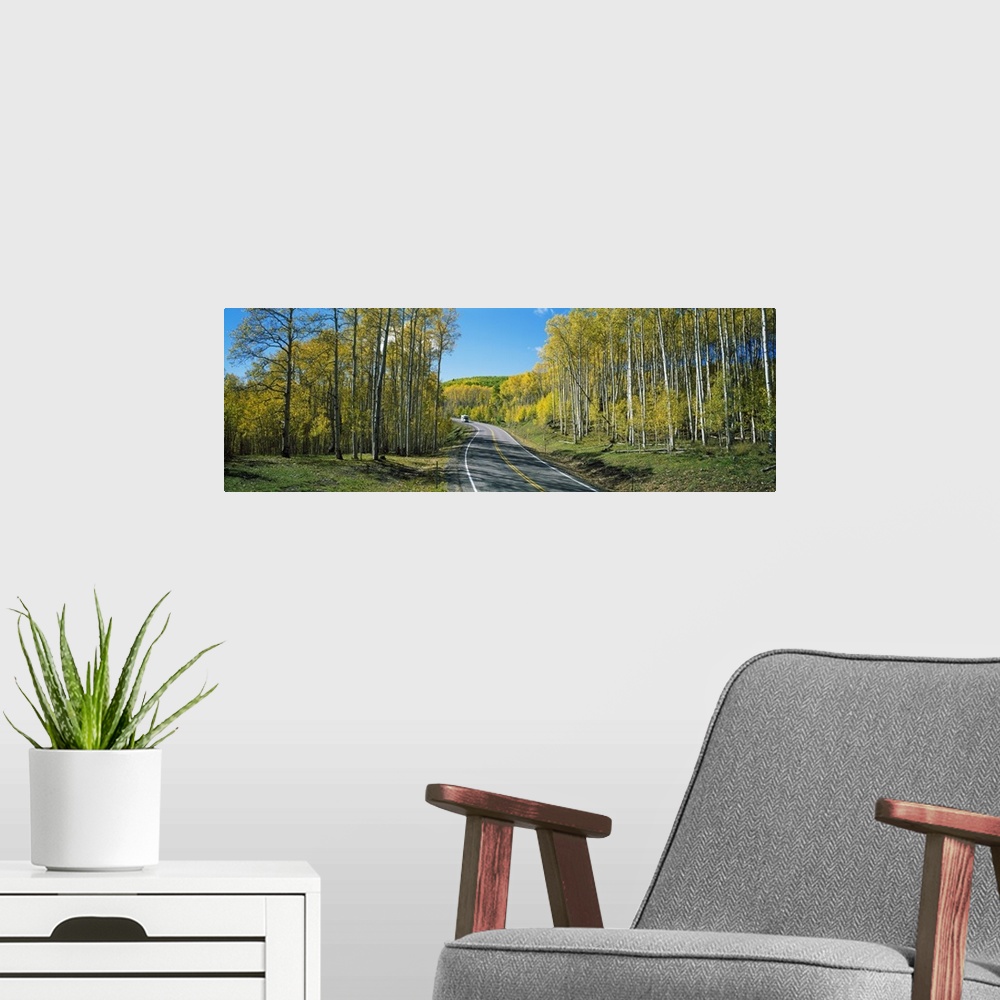 A modern room featuring Recreational vehicle driving on road winding through aspen forest