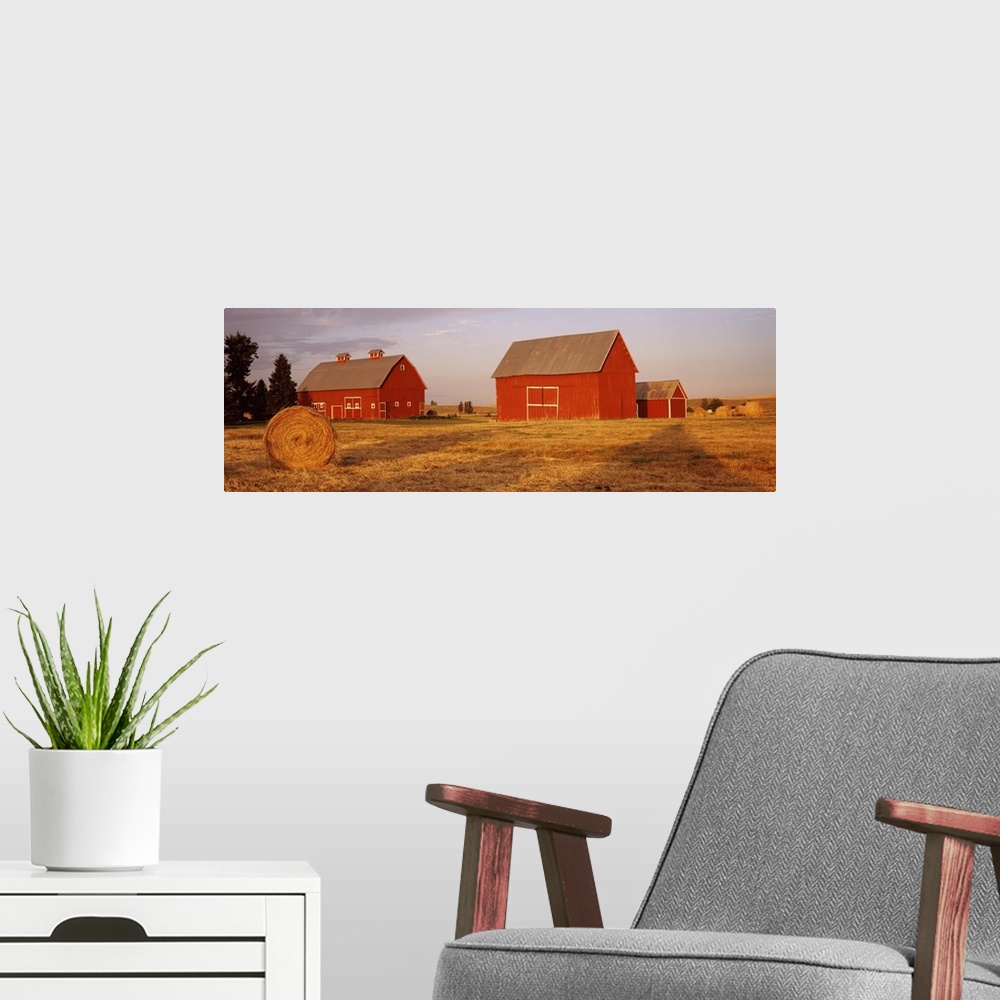 A modern room featuring Two red barns sit in a large open field. A single hay bale sits in the foreground of the picture.