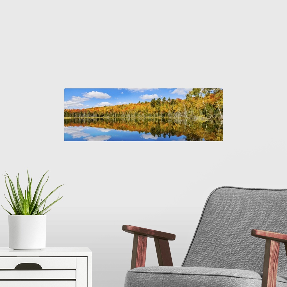 A modern room featuring Reflection of trees in Pete's Lake, Schoolcraft County, Michigan