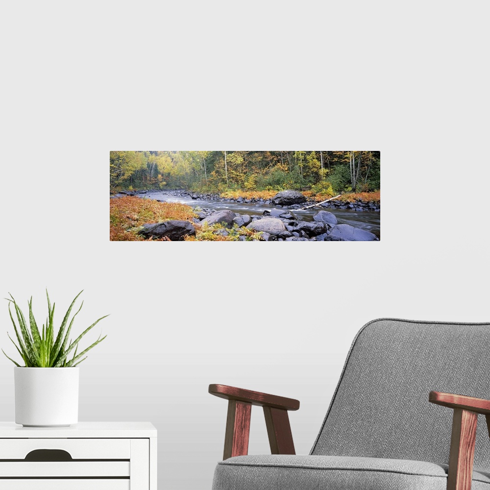 A modern room featuring Panoramic photograph of rock stream running through the woods.