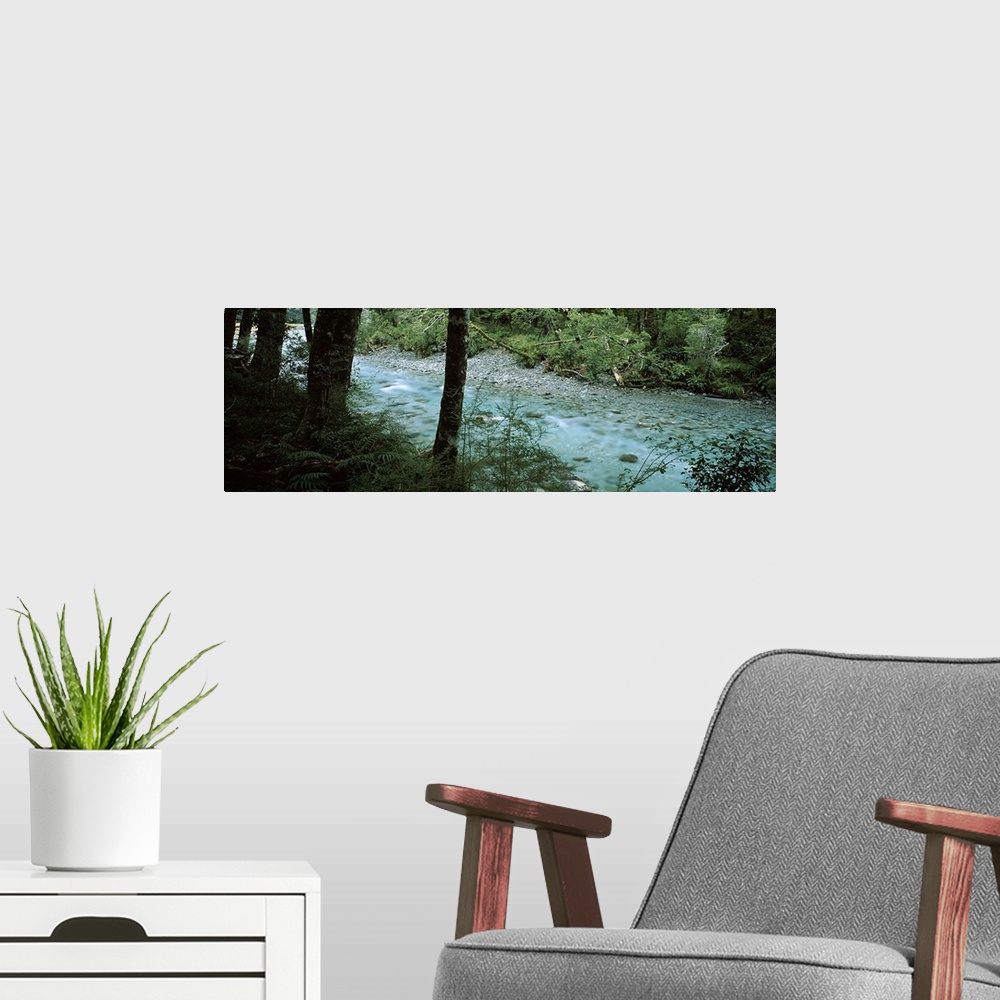 A modern room featuring River flowing through a forest, Routeburn River, Mt Aspiring National Park, South Island, New Zea...