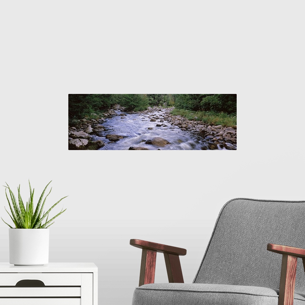 A modern room featuring A river flows over rocks with thick brush and foliage lining both sides of the water.